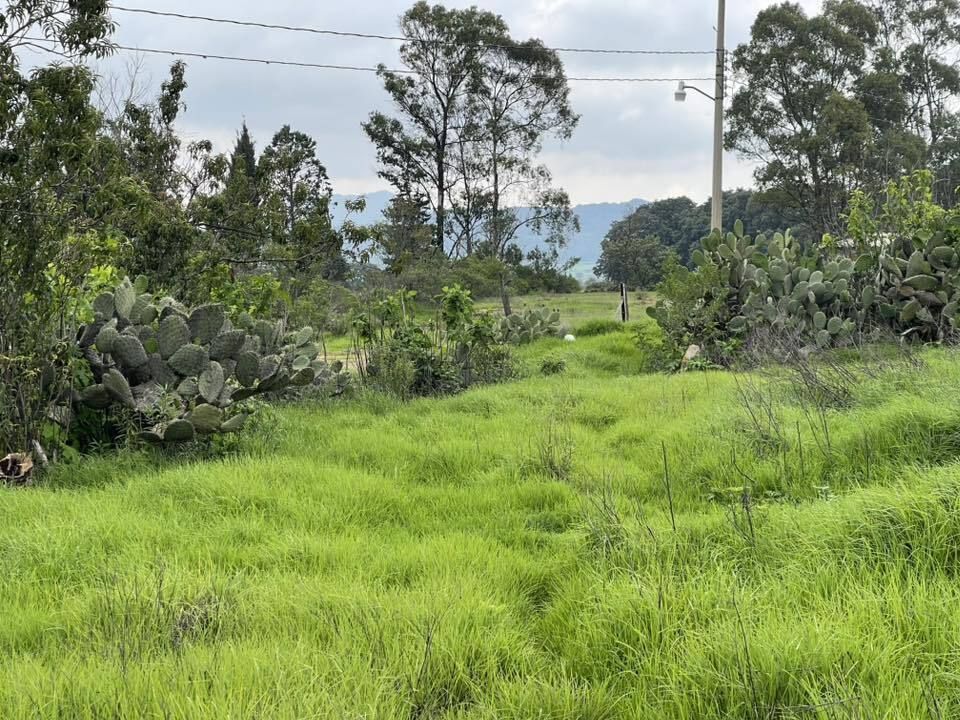 3 de 21
