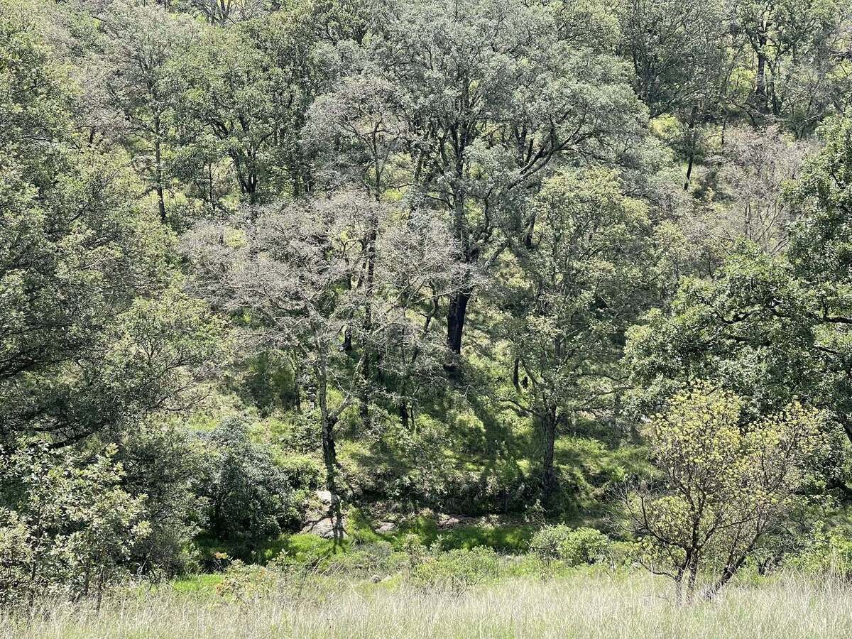 7 de 24