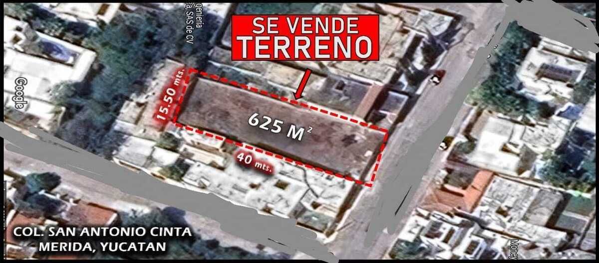 Imagen 1 de 1