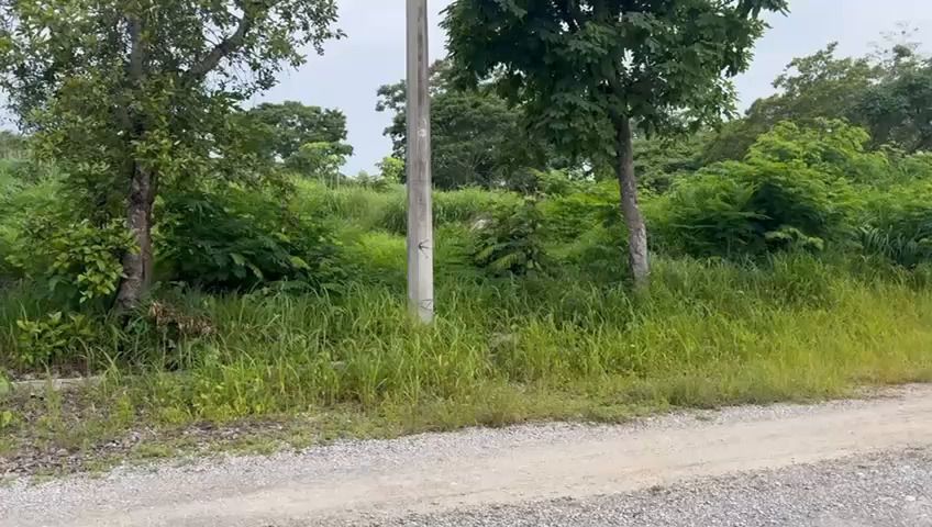 4 de 4