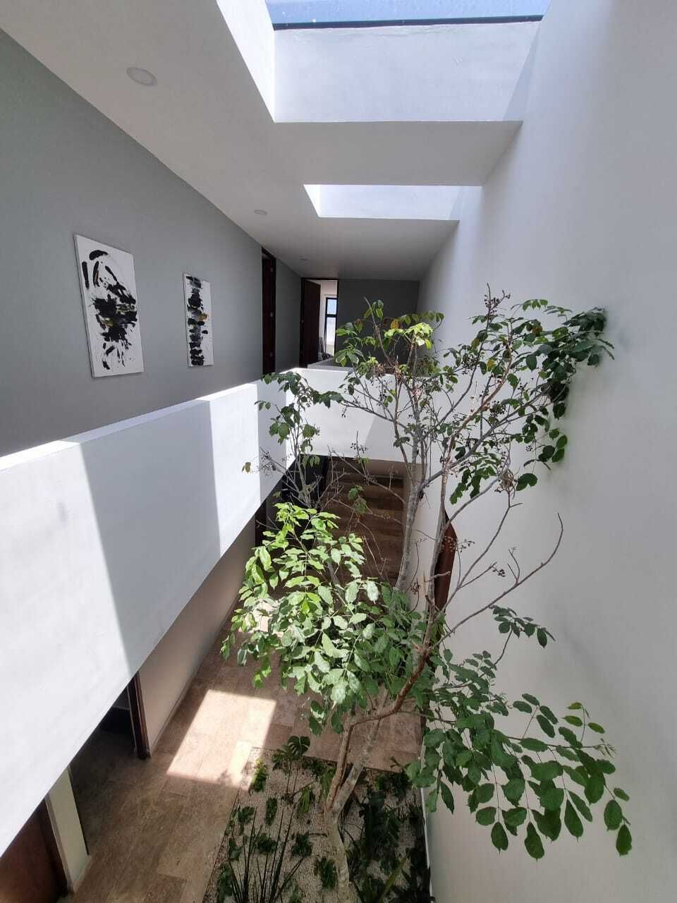 13 de 13: Jardín Interior