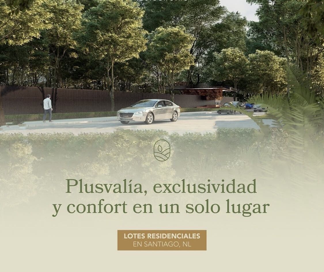 4 de 19
