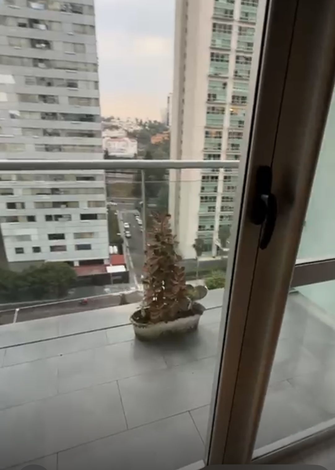 3 de 22