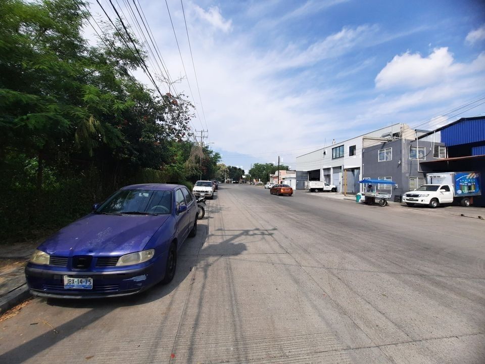6 de 6