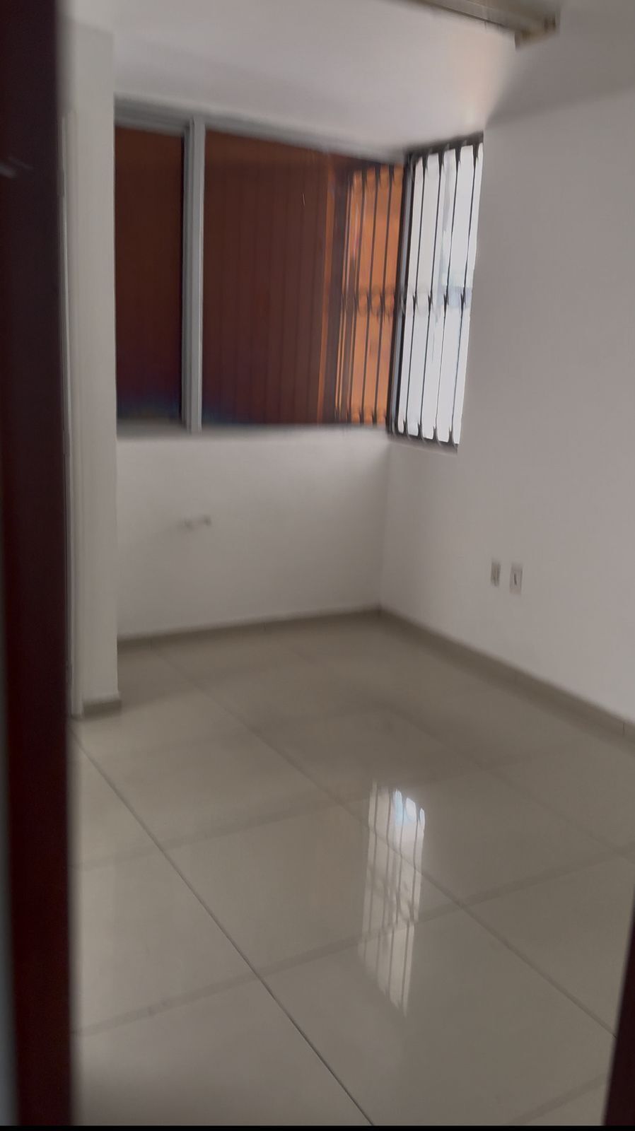 Imagen 7 de 7