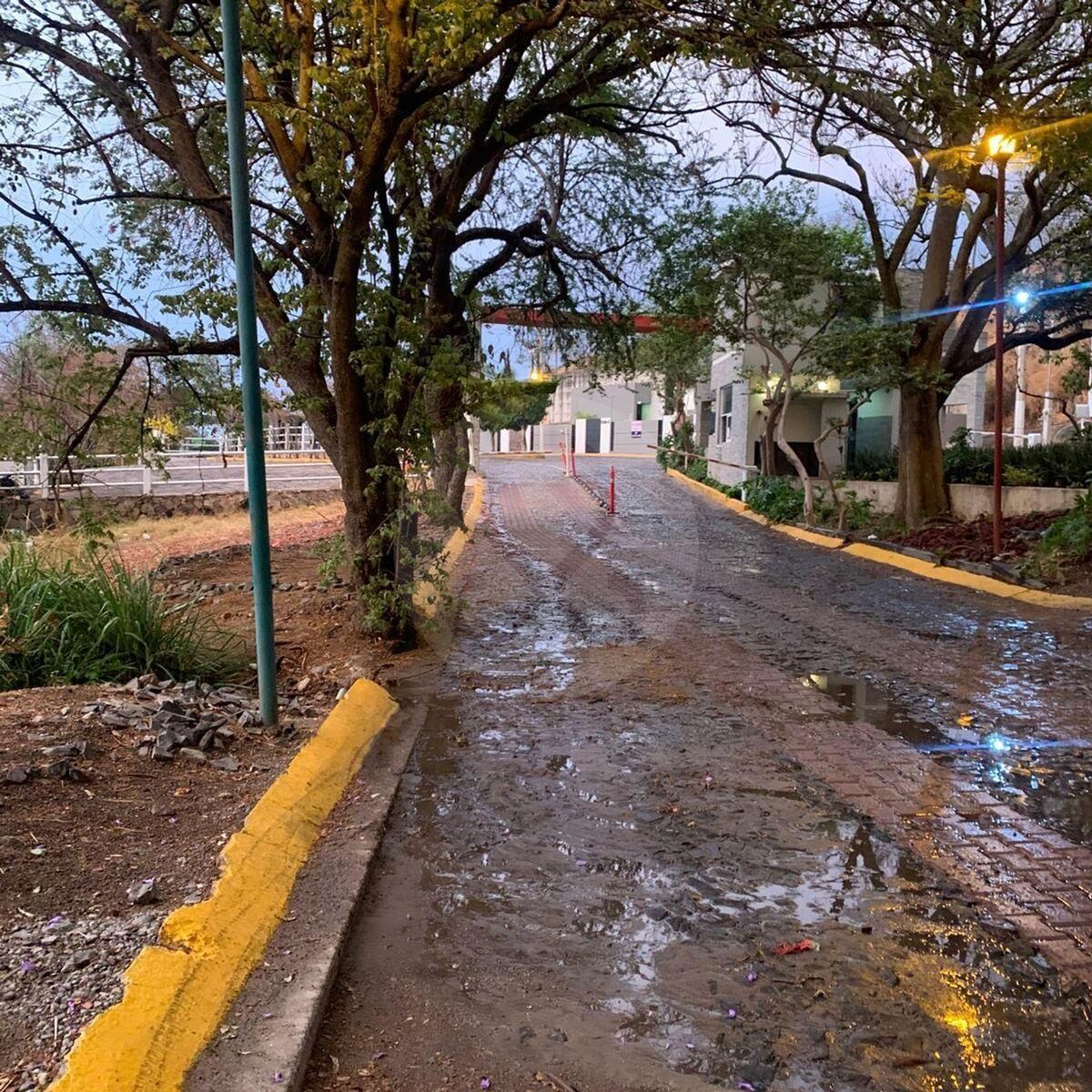 3 de 14