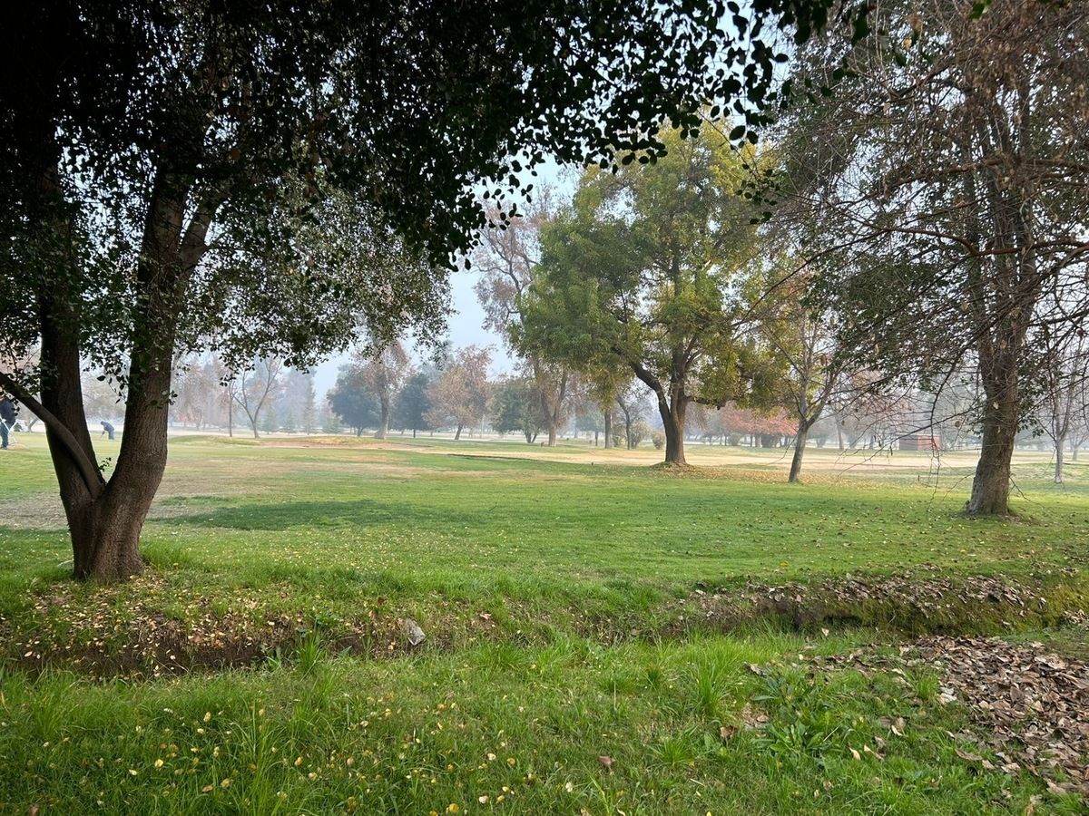 4 de 6