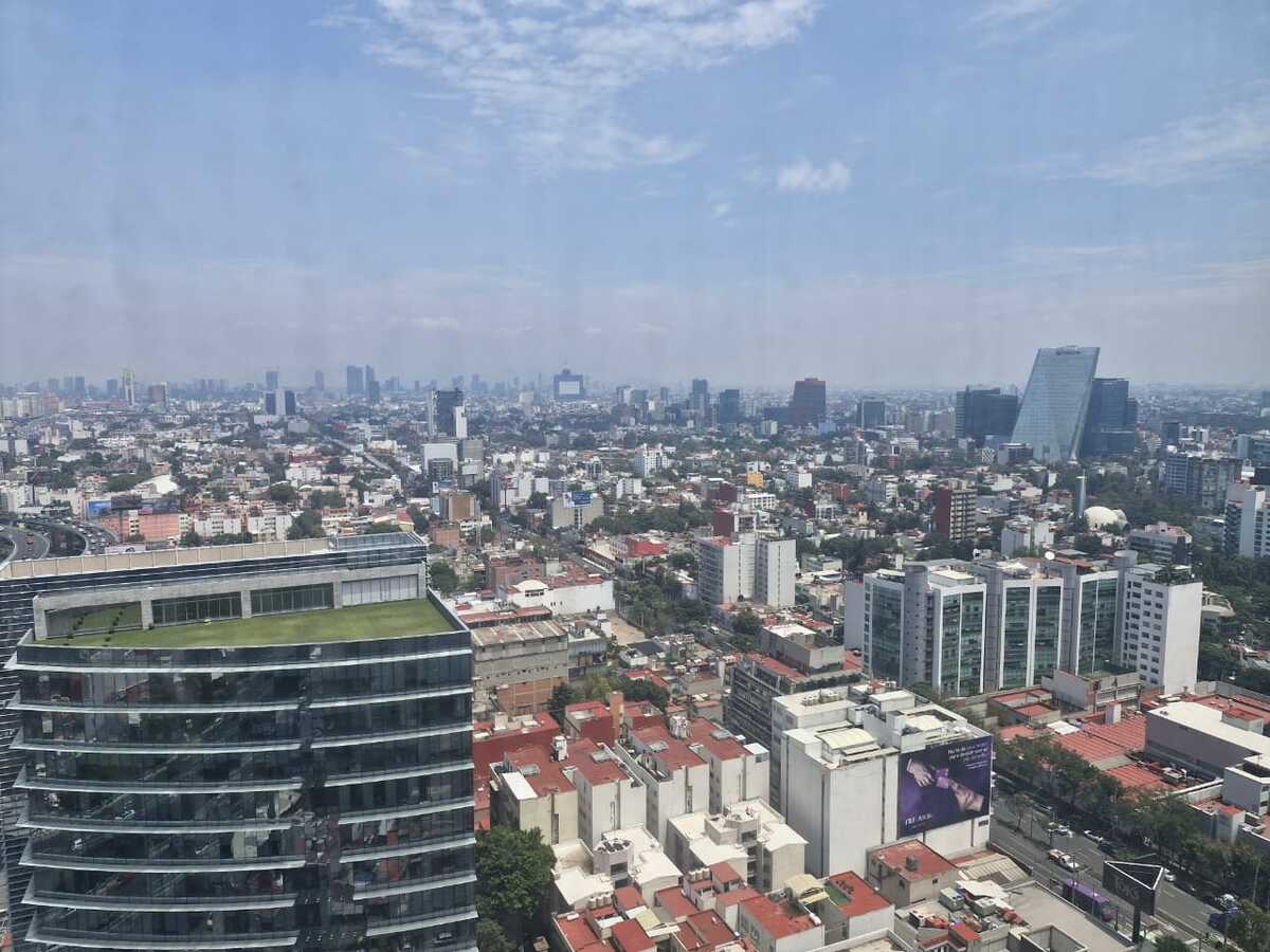 12 de 13