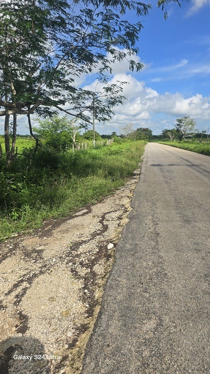 13 of 17: Carretera del frente del predio