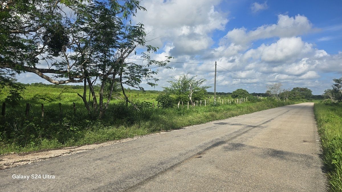 15 of 17: Carretera de acceso al predio