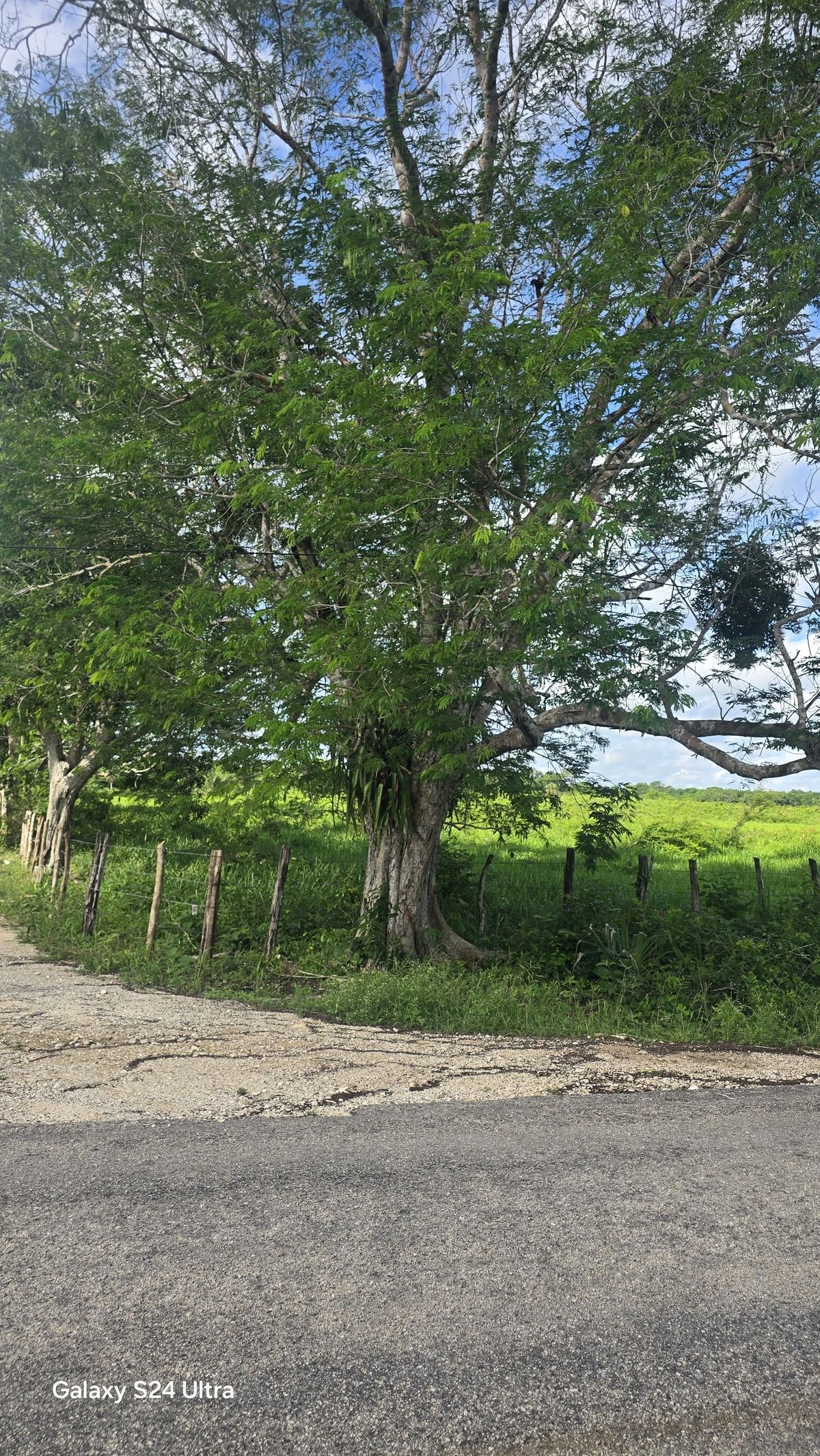 17 of 17: Esquina de la propiedad