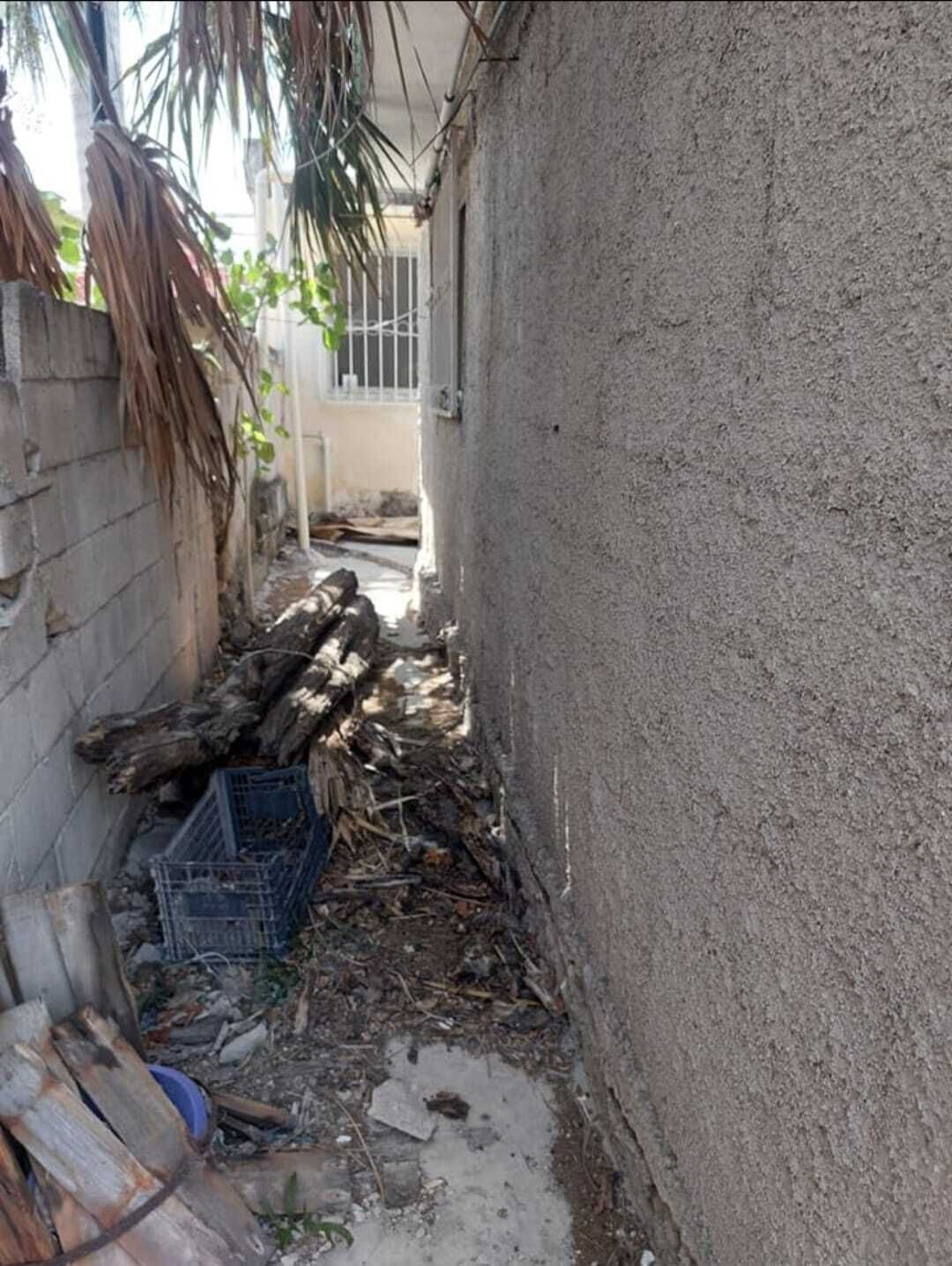 12 de 13