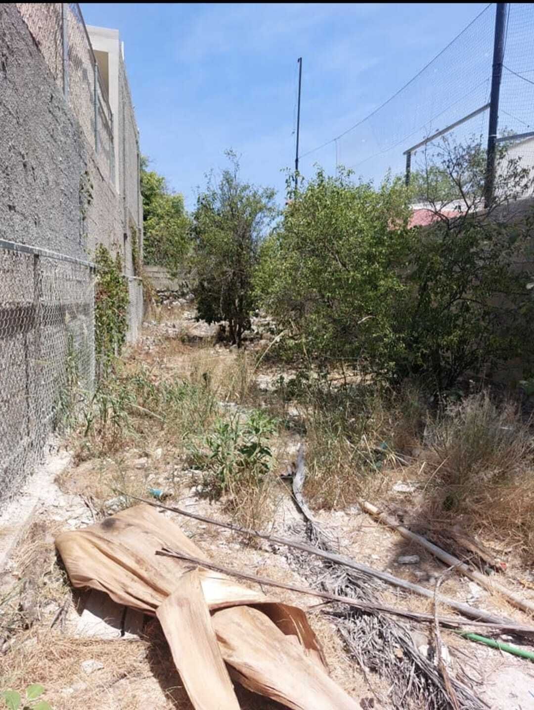 13 de 13