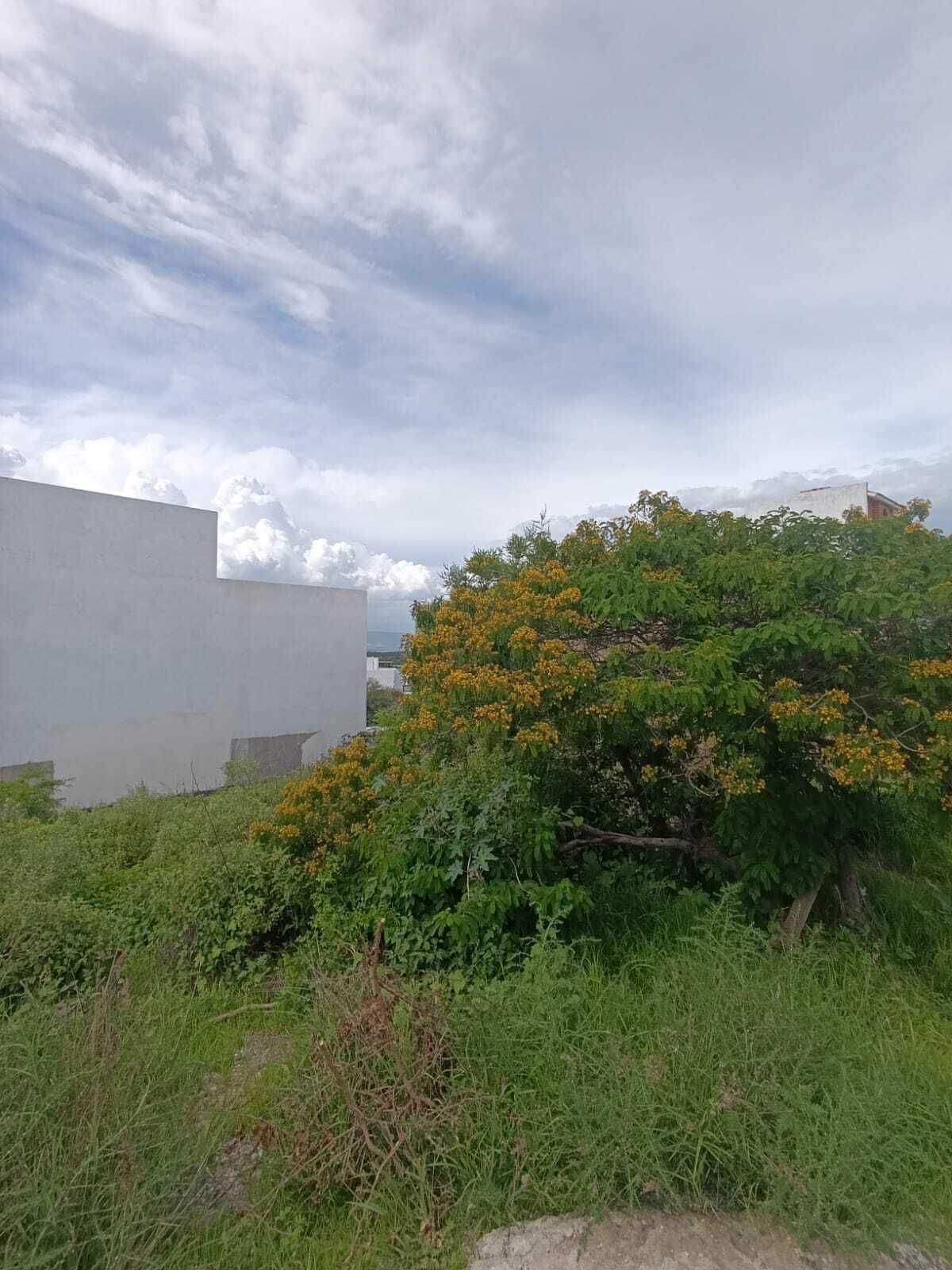 7 de 9