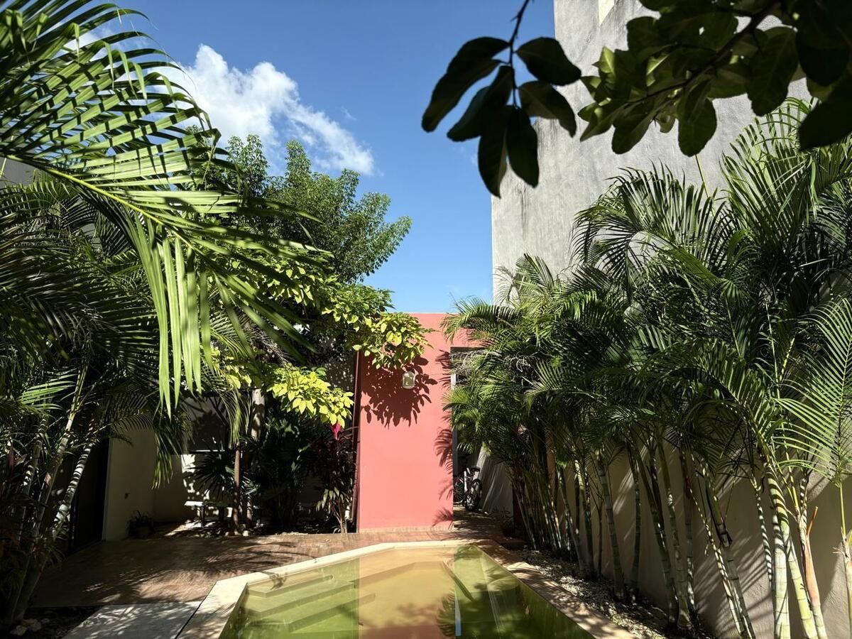 2 de 26