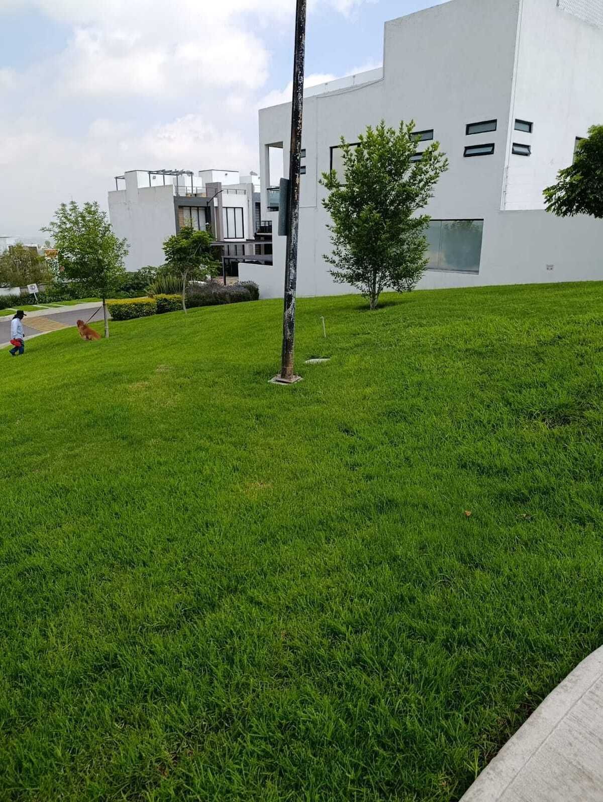 20 of 20