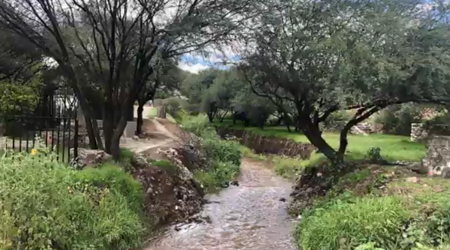 11 de 20