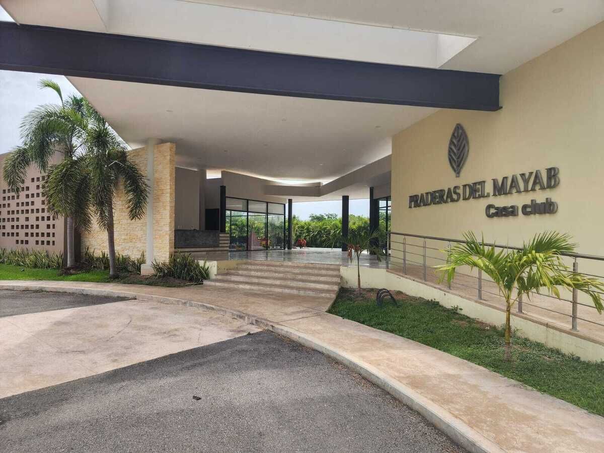 1 de 6