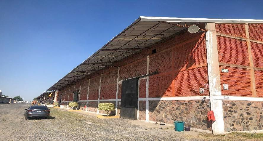 2 de 4