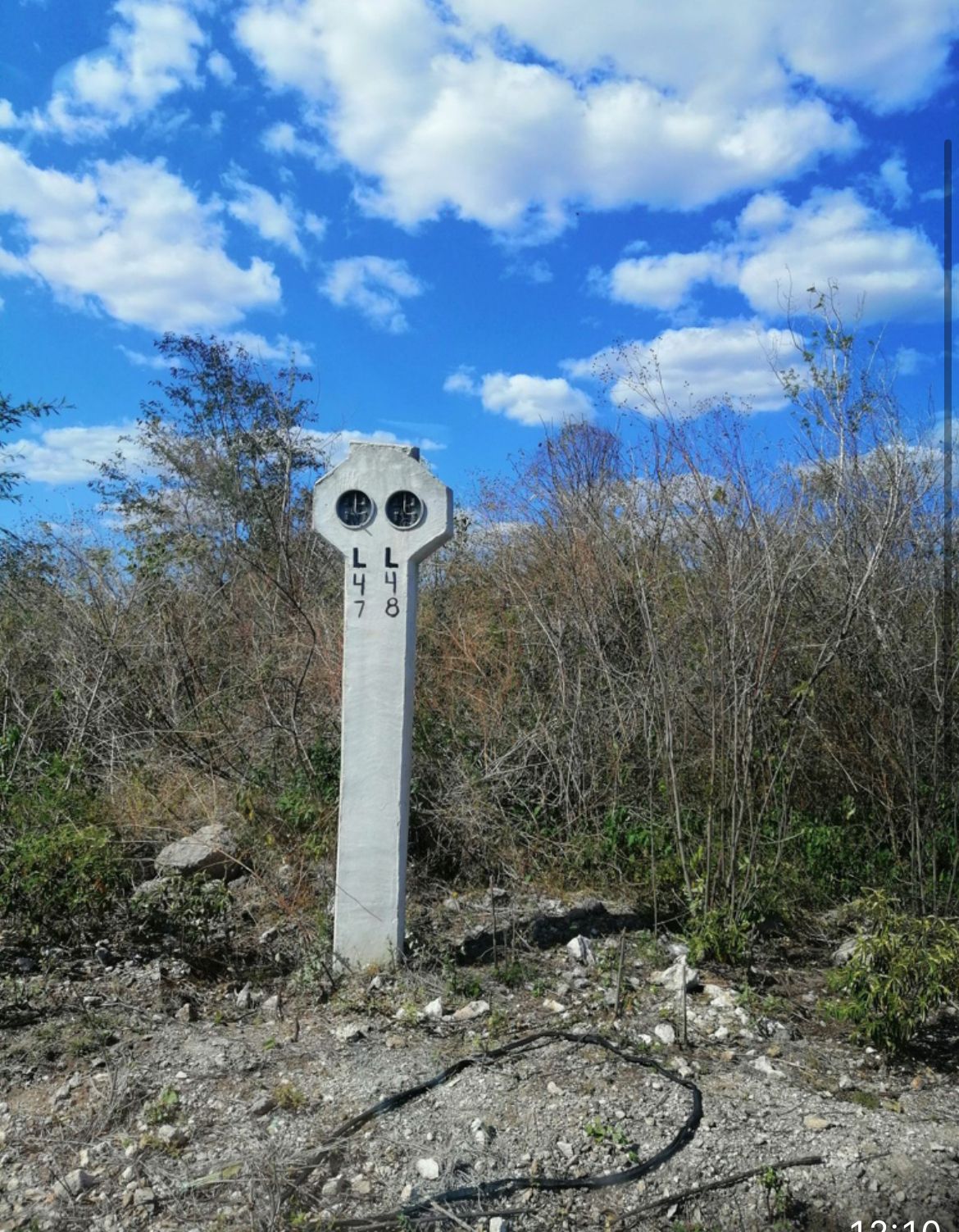 5 de 5