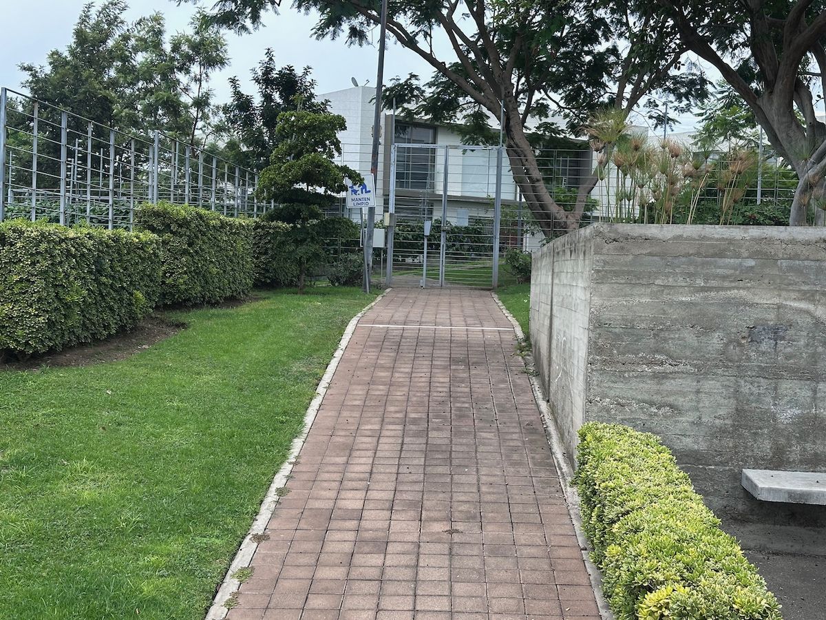 40 de 50: ACCESO AL PARQUE CENTRAL