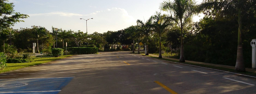 7 de 12