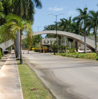 11 de 12