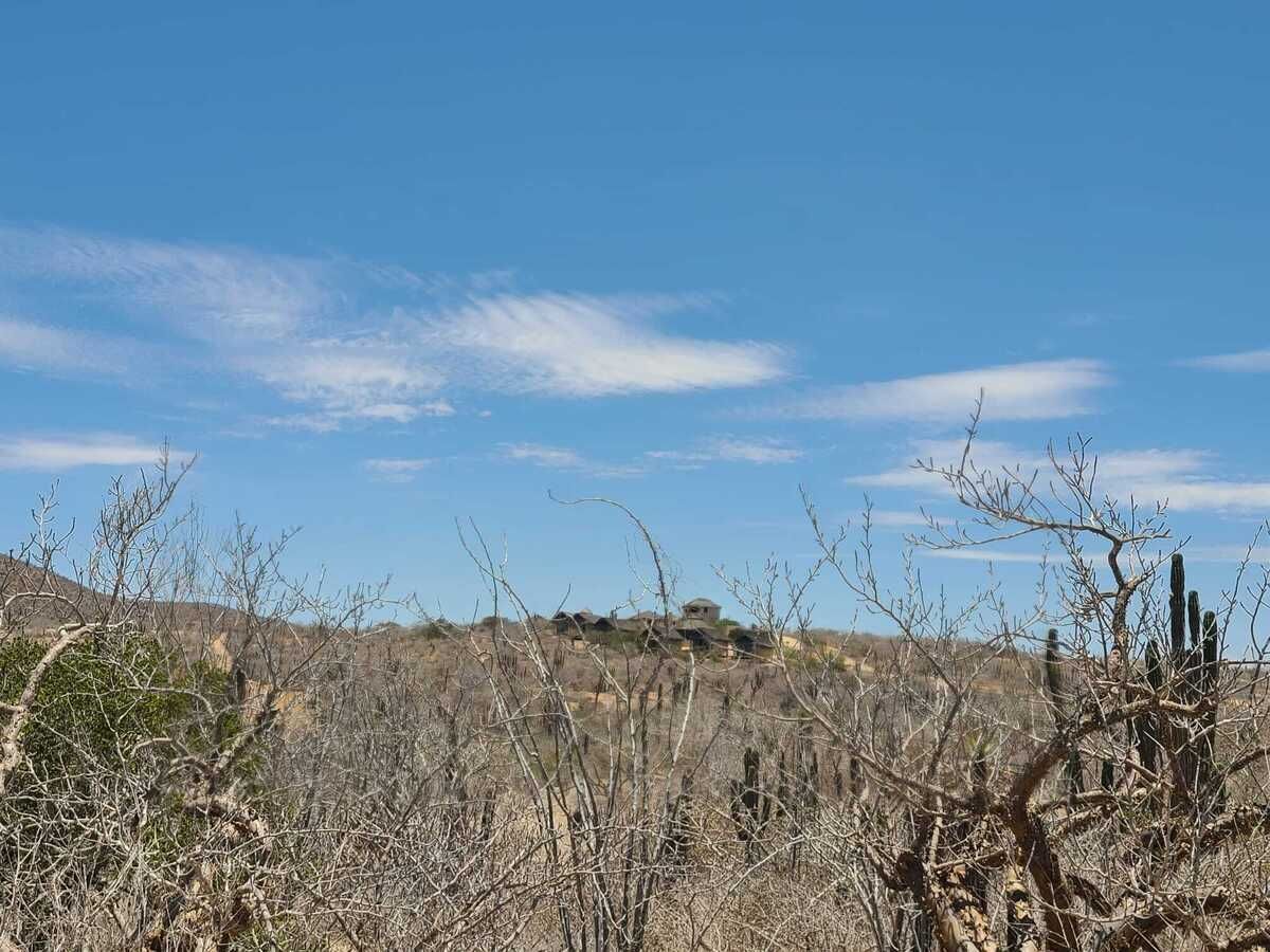 5 de 19