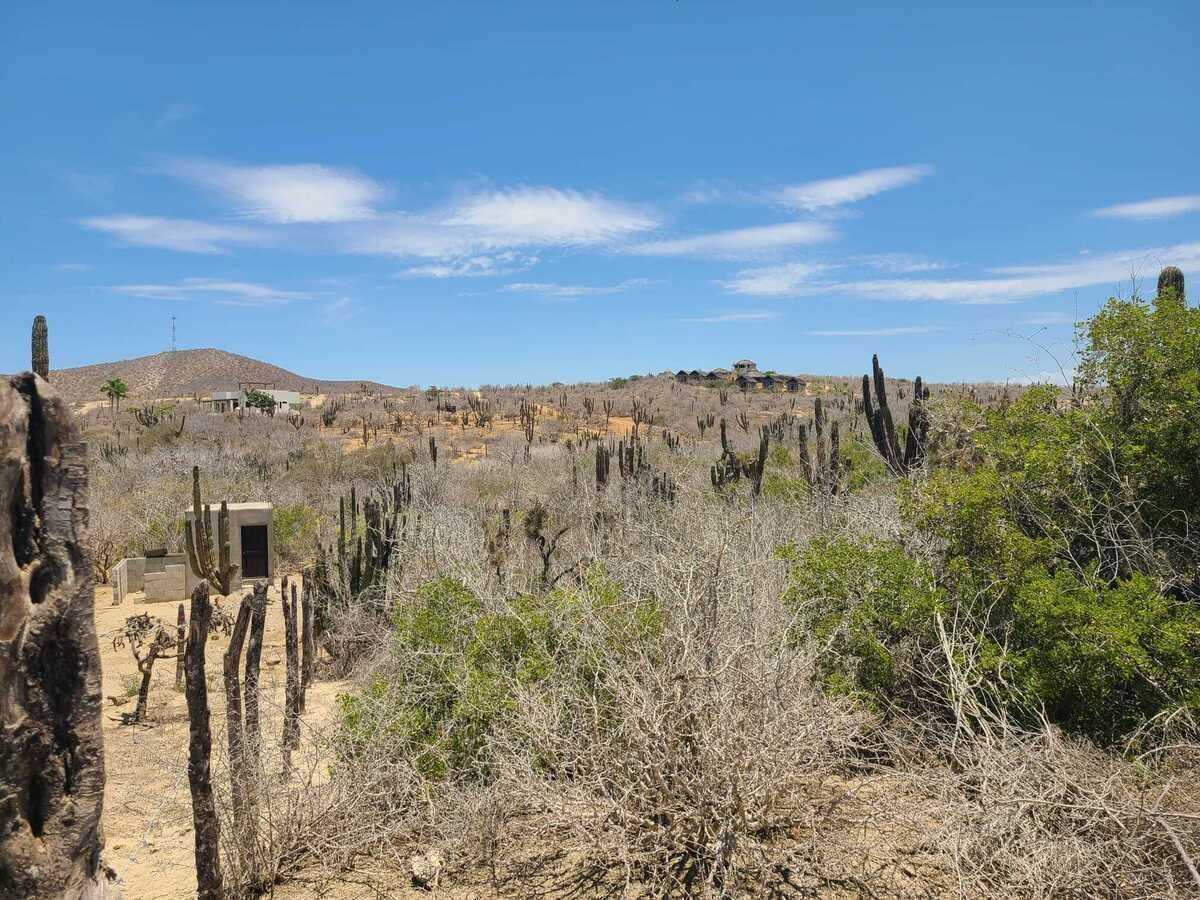 6 de 19