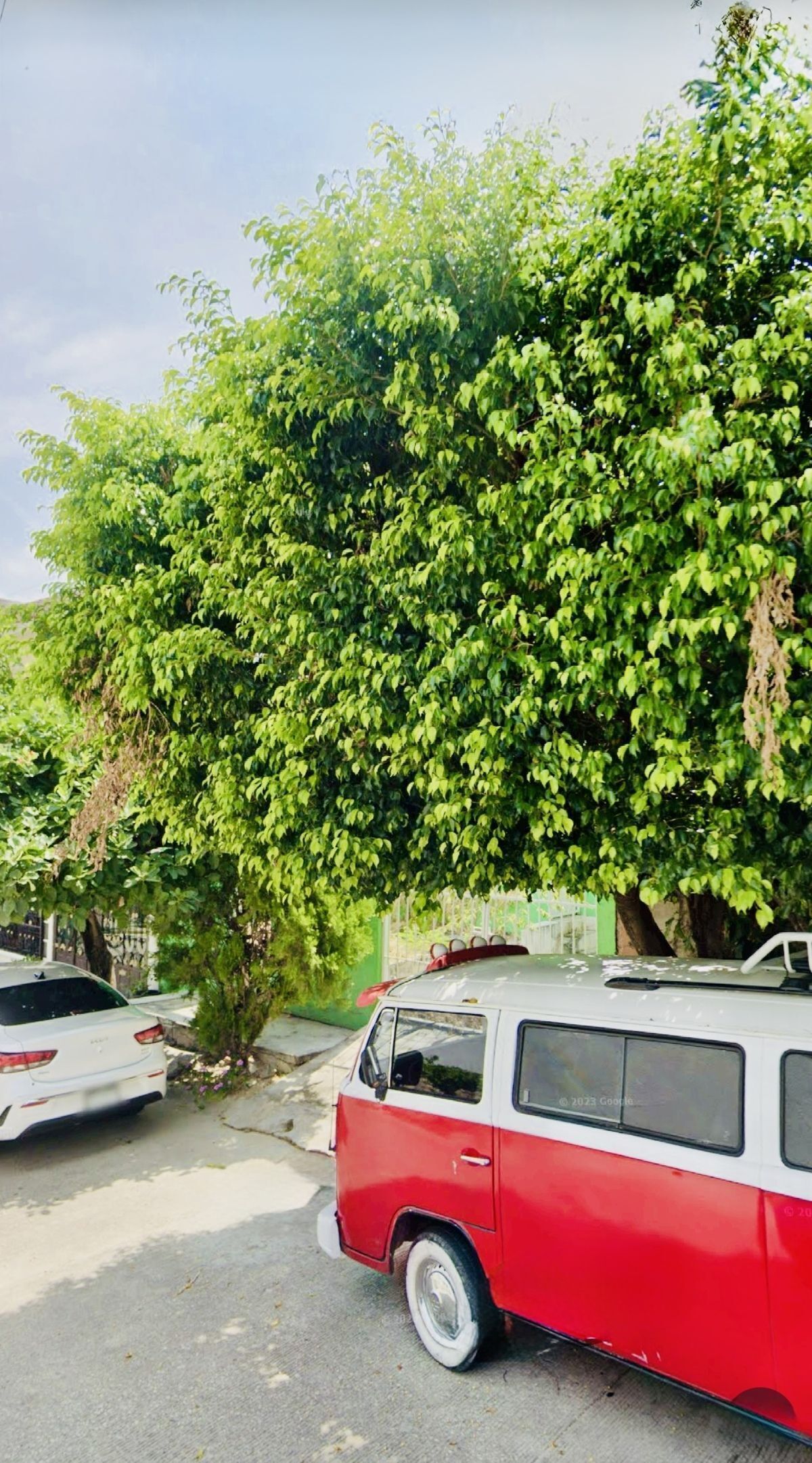 13 de 50