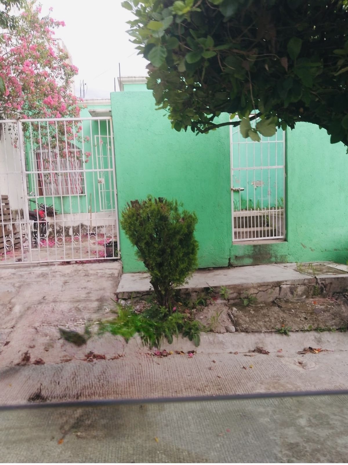3 de 14