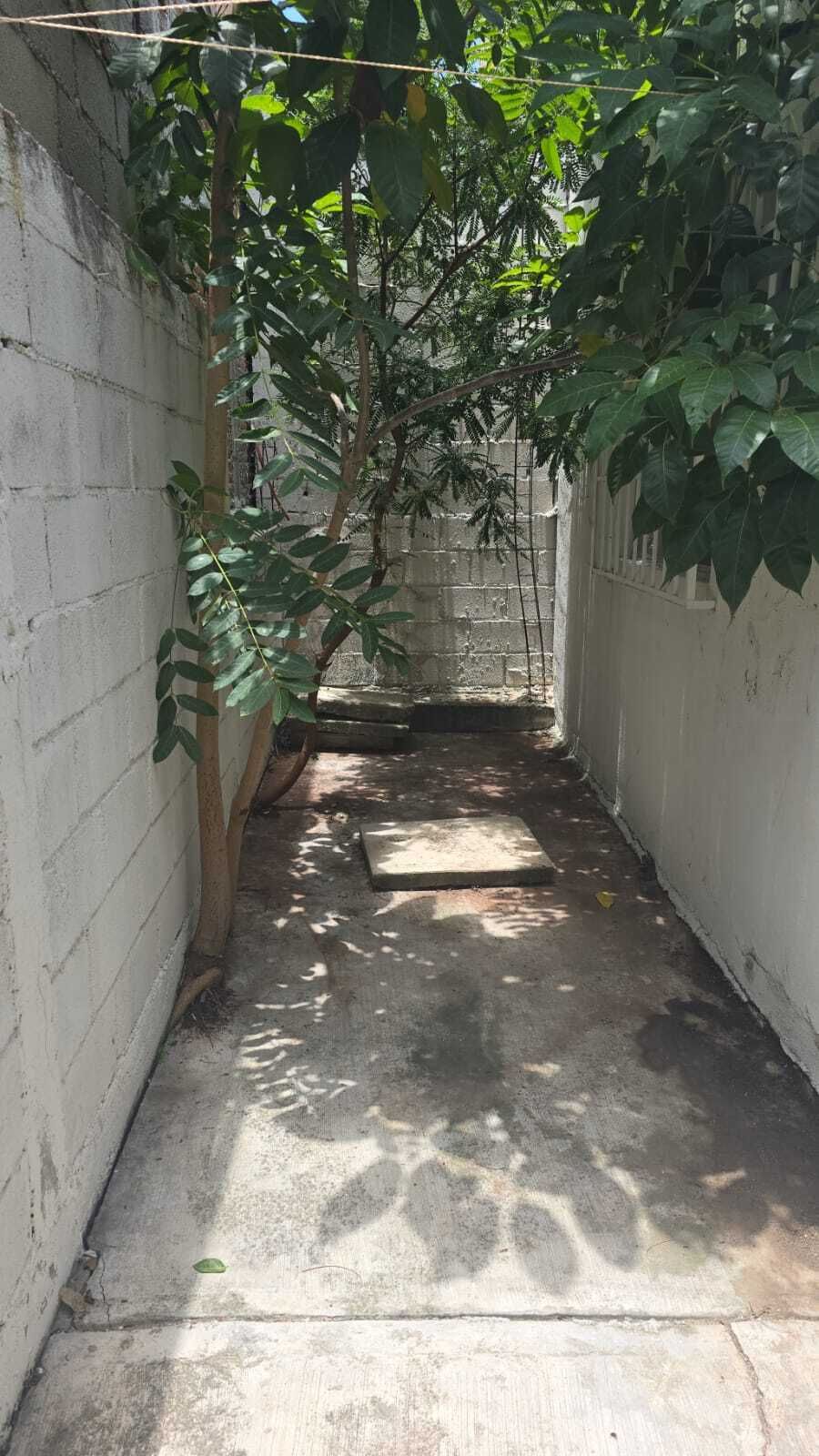 41 de 51