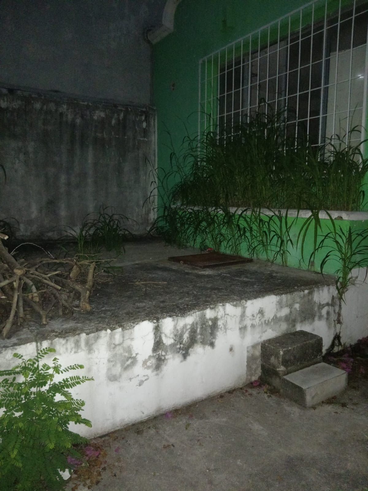 50 de 51
