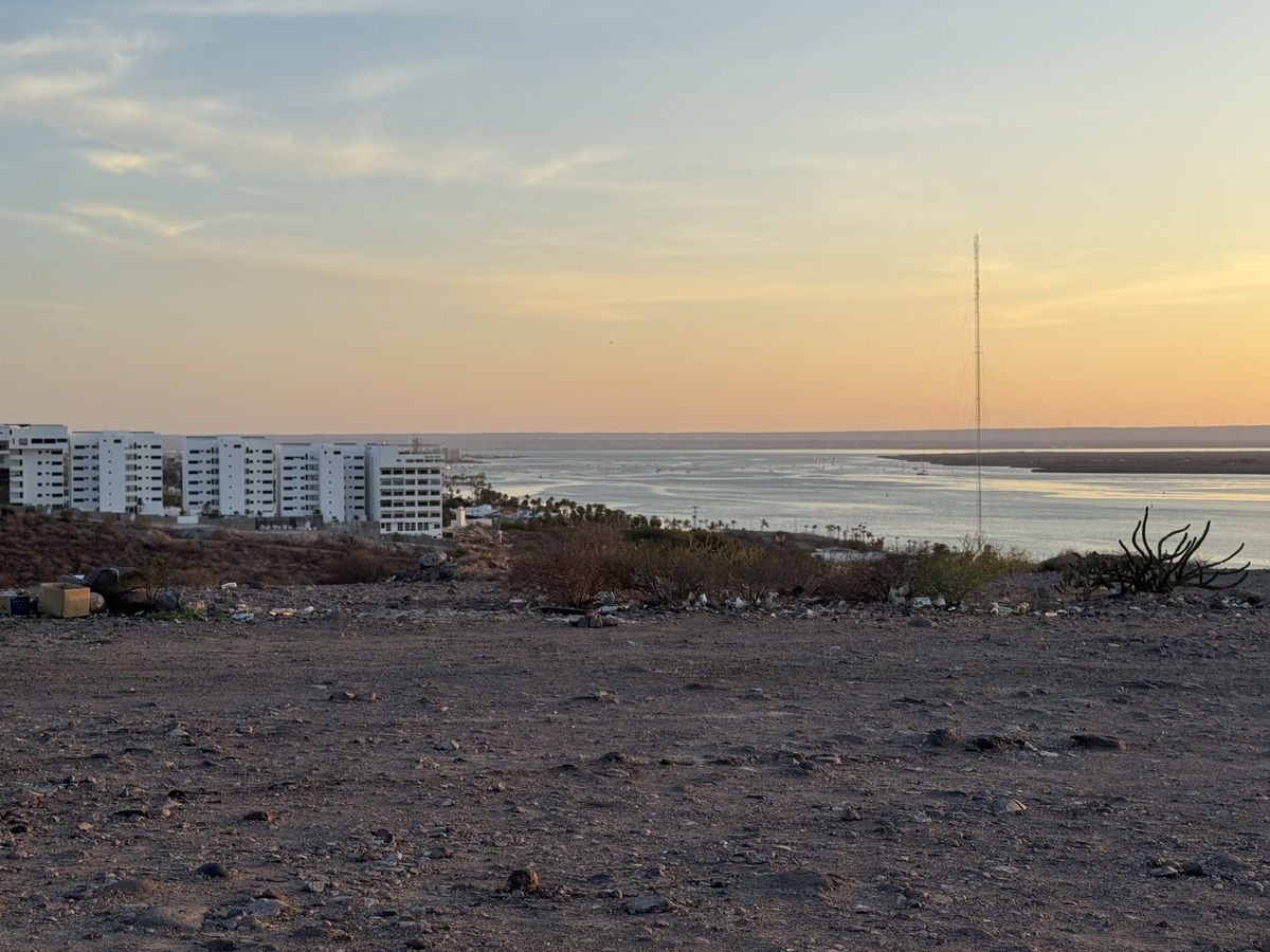 27 de 44: vista desde el mirador de Palmira