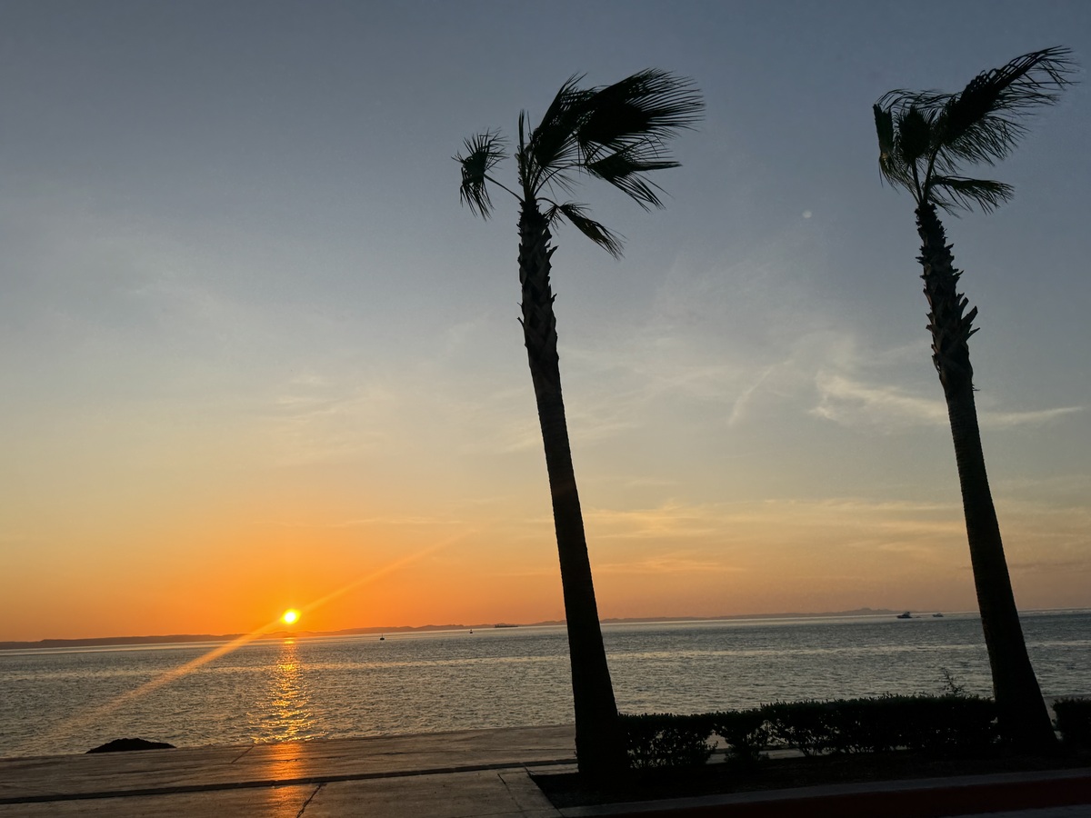 29 de 44: vista desde el malecon