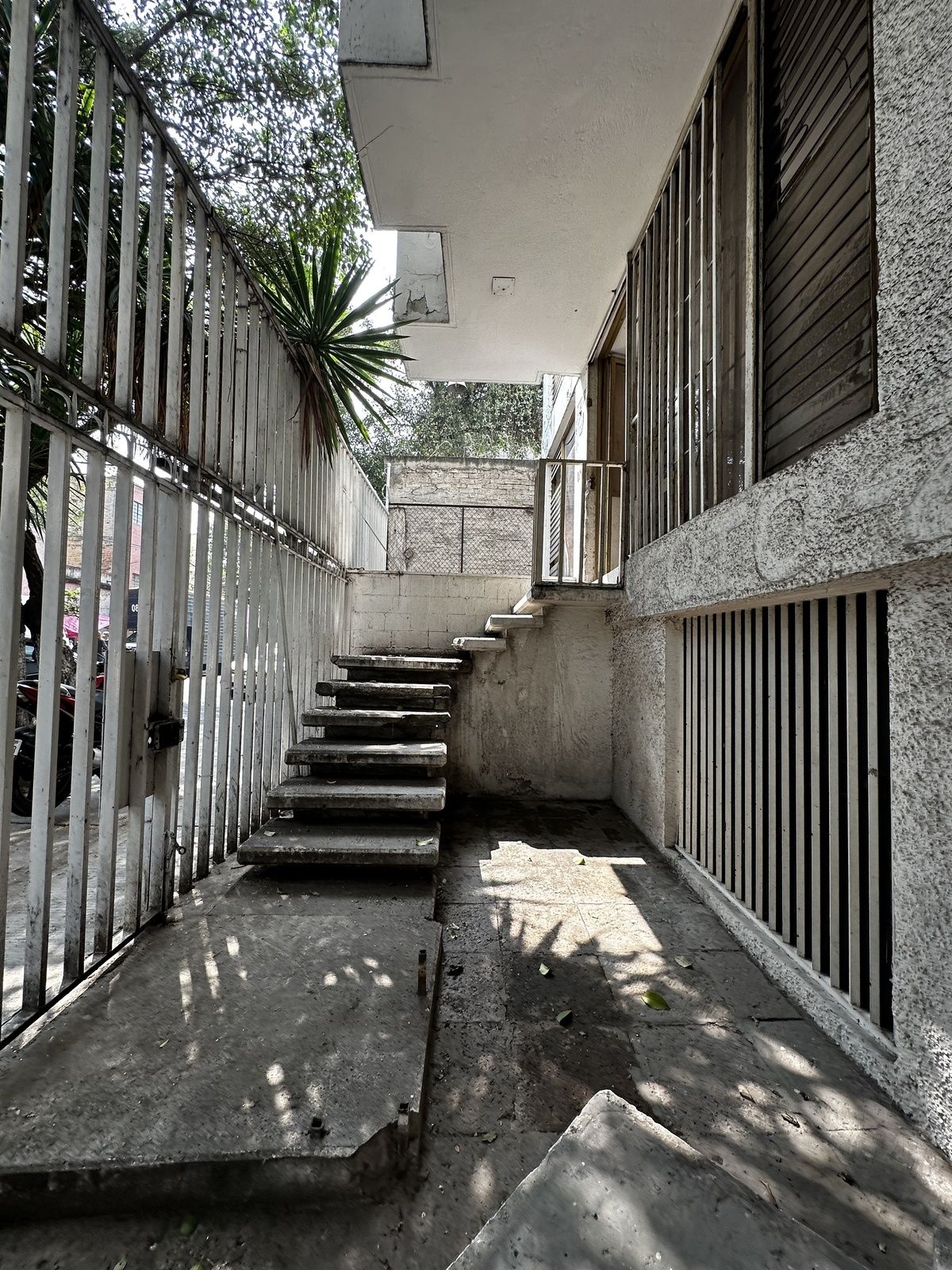 3 de 12: Vista del interior de la entrada principal