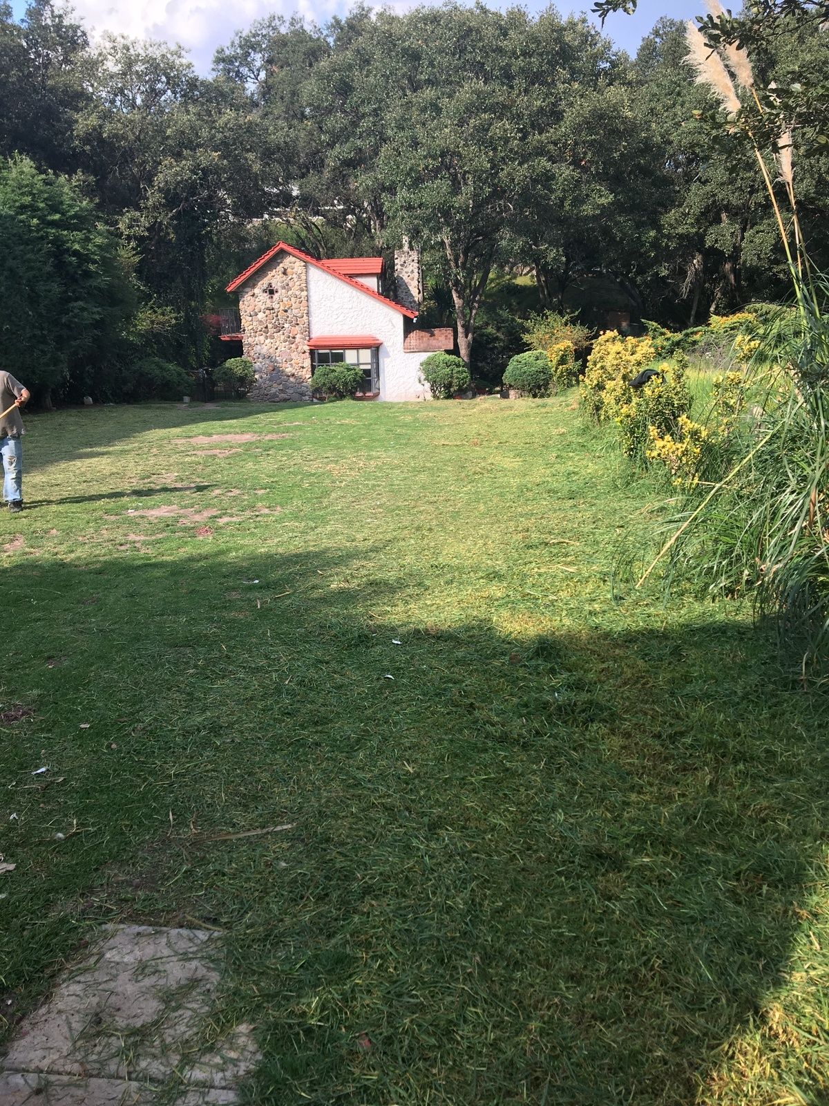 1 of 19: Fachada y jardin