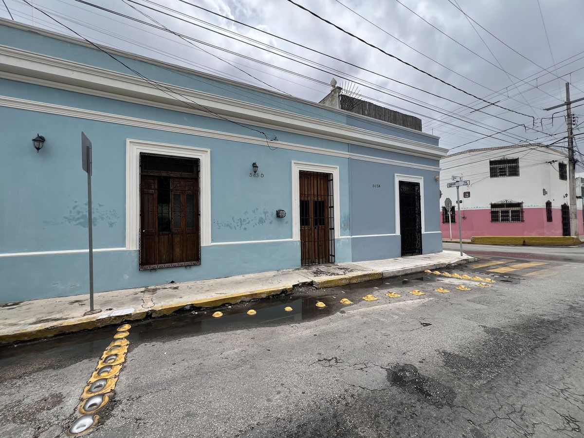11 de 11