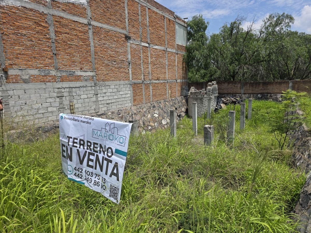 3 de 6