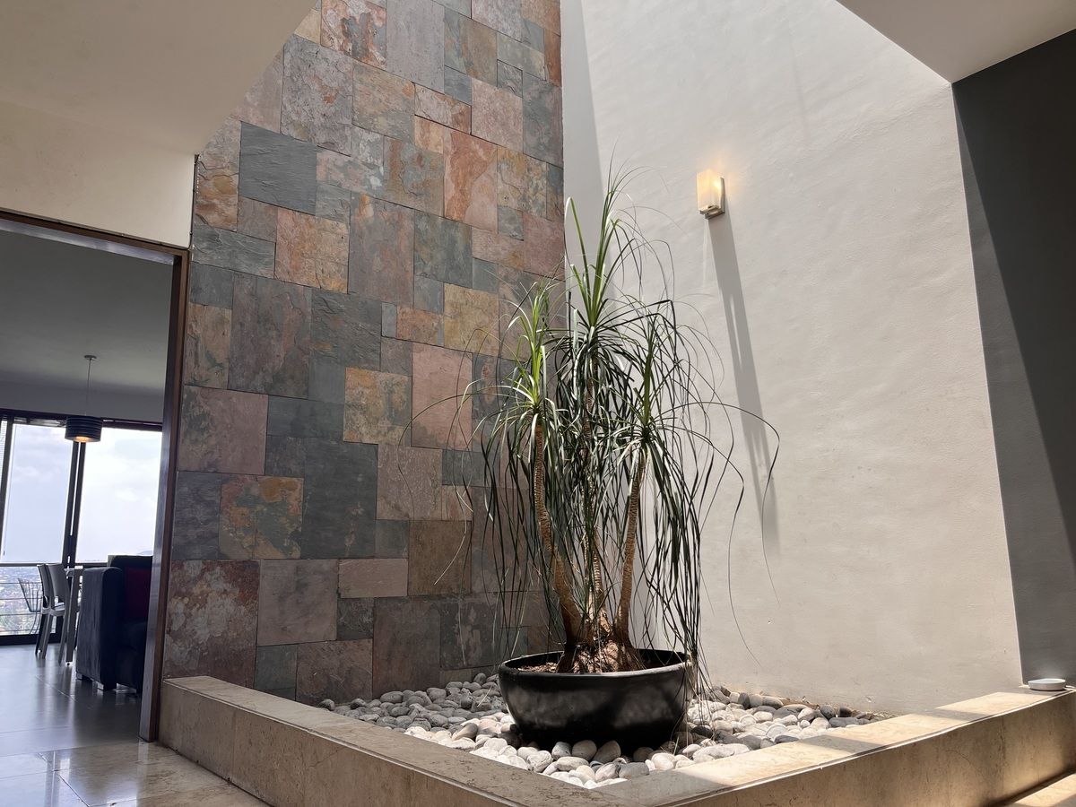 3 de 26: Tragaluz, buena iluminación