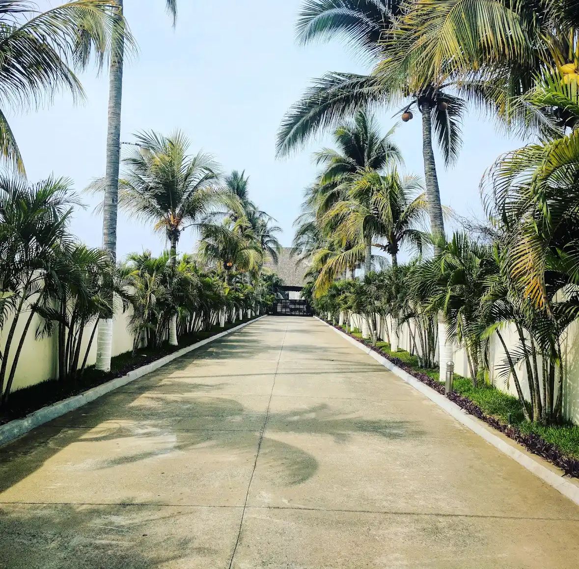 1 de 21: Entrada