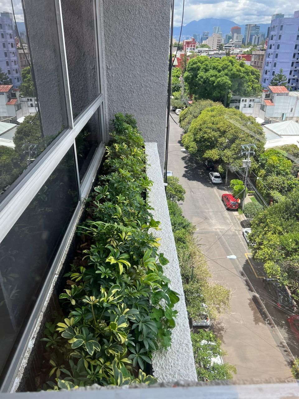 5 of 23: JARDINERA CUARTO SECUNADARIO