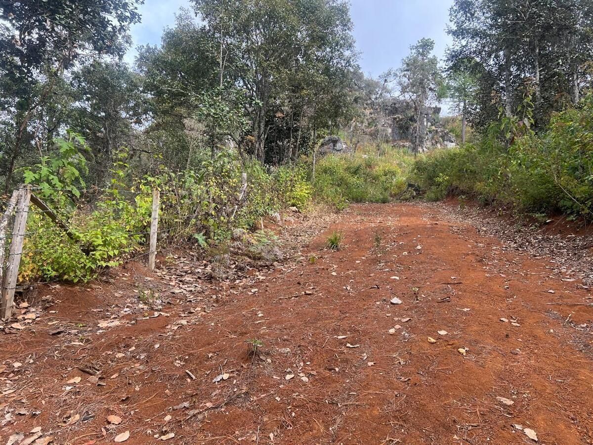 Se vende terreno en San José Bocomtenenlté, en San Cristóbal de Las Casas