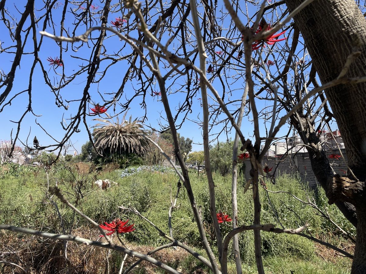 3 de 9