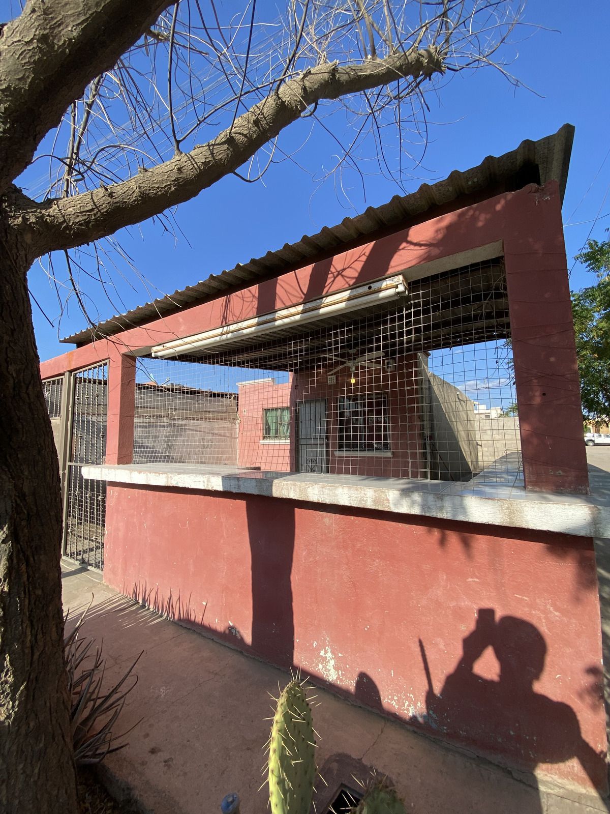 1 de 11