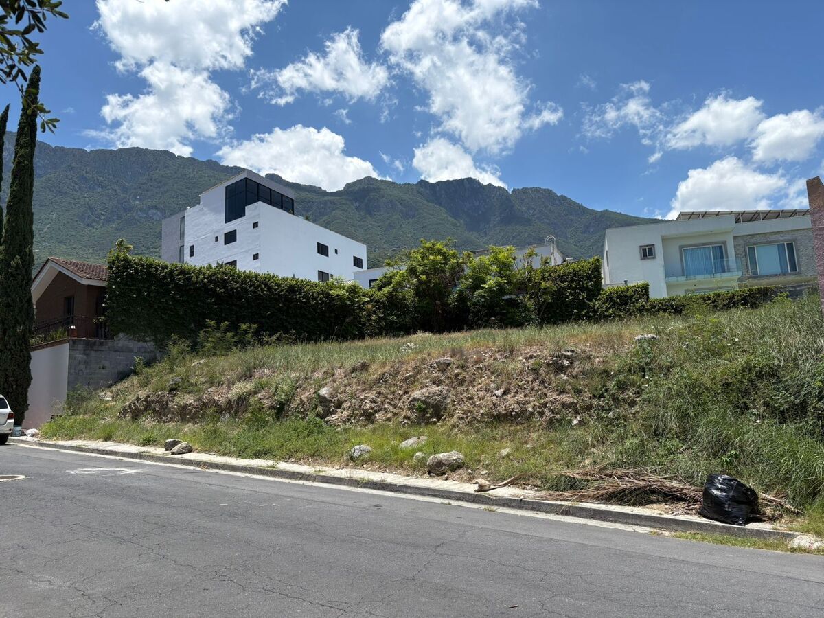 3 de 6