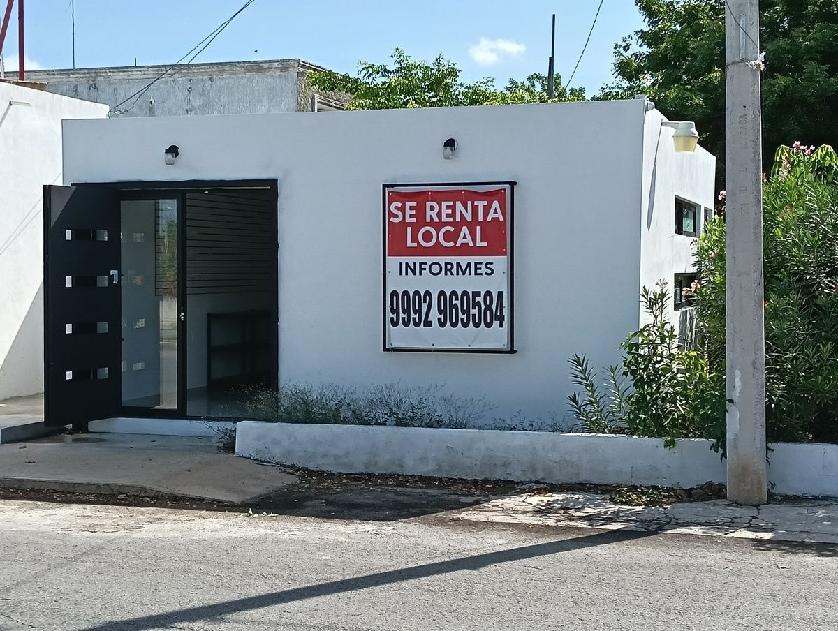 7 de 12