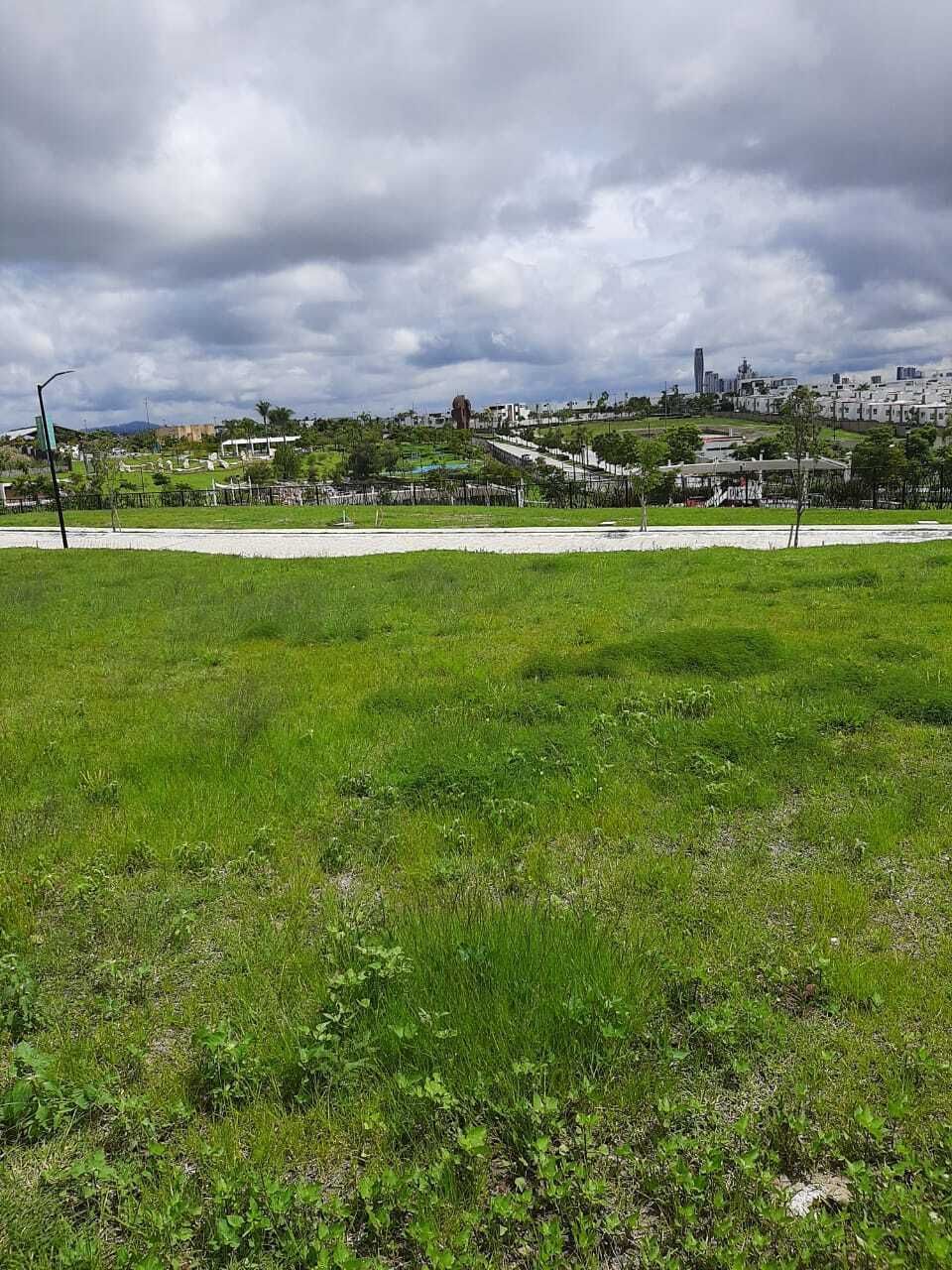 4 de 5