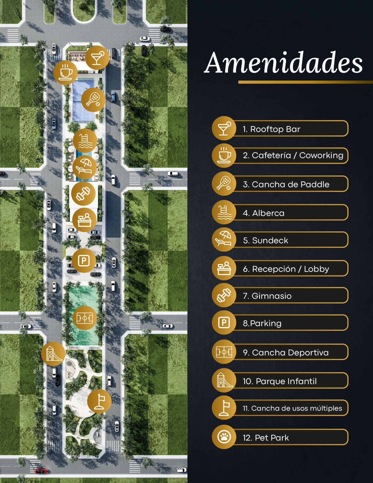 19 de 24