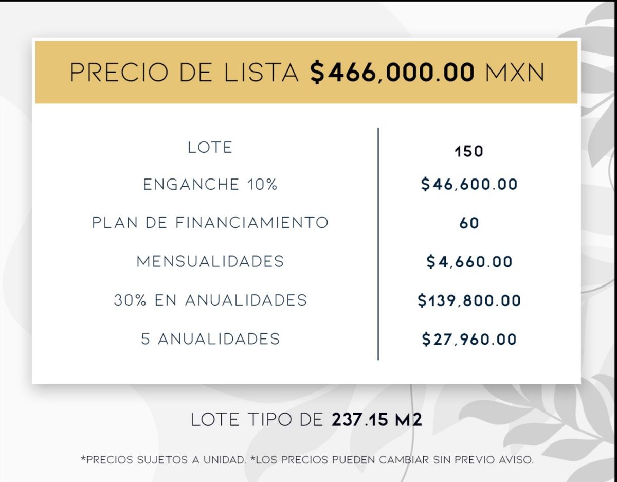 22 de 24